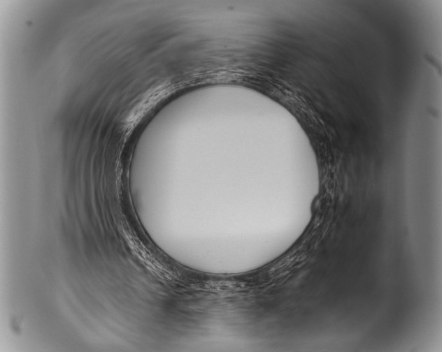 X0000100340242200806261334