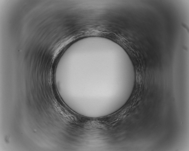 X0000100340244200806261334