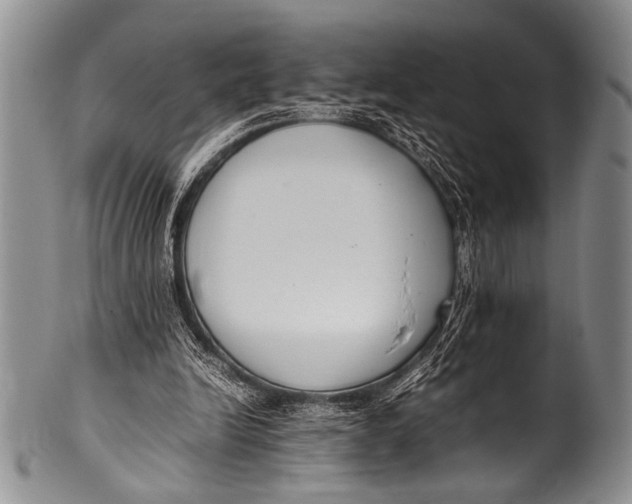 X0000100340246200806261334