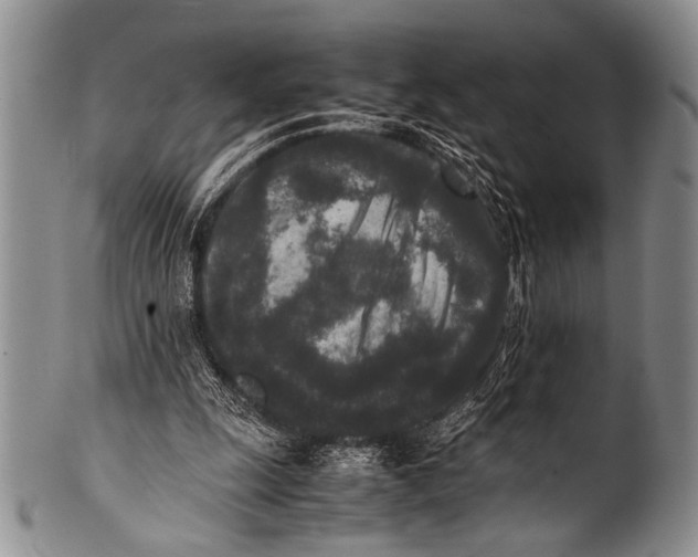 X0000100340247200806261334