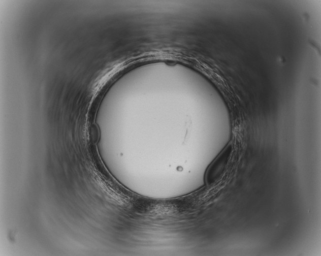 X0000100340248200806261334