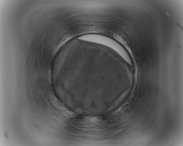 X0000100340249200806261334