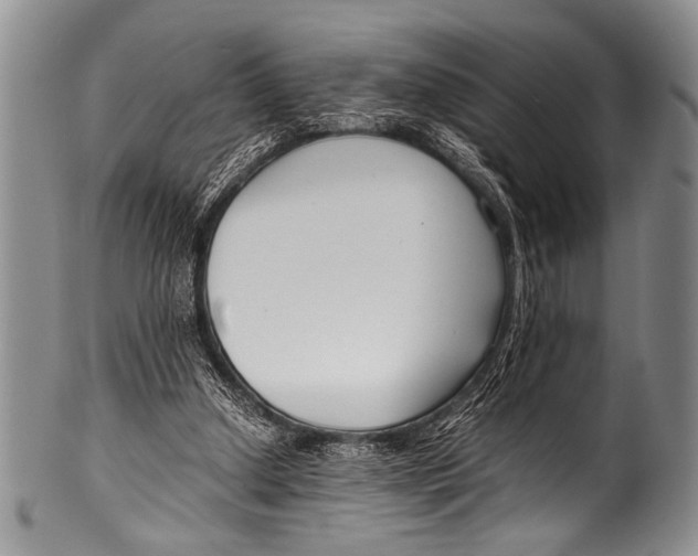 X0000100340250200806261334