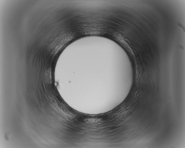 X0000100340251200806261334