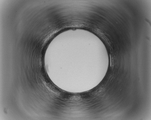 X0000100340252200806261334