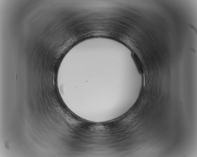 X0000100340253200806261334