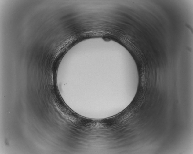 X0000100340254200806261334