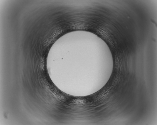 X0000100340255200806261334