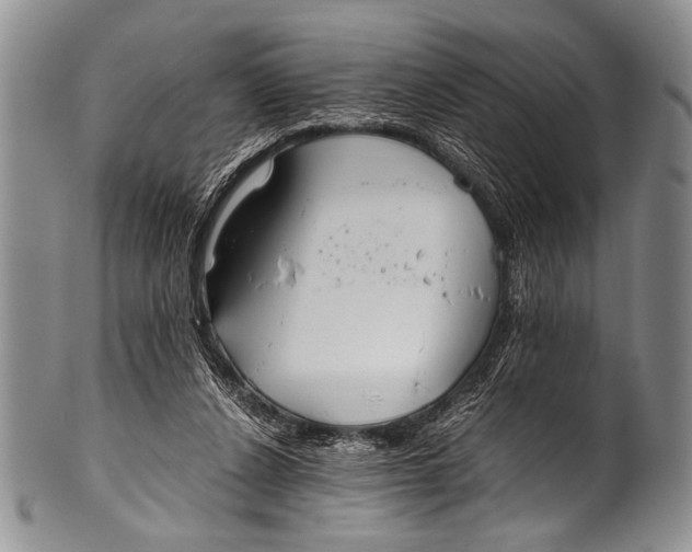 X0000100340256200806261334