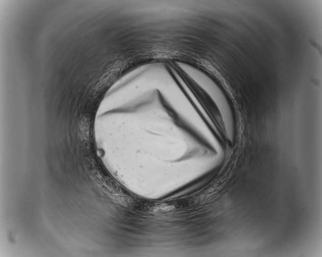 X0000100340257200806261334