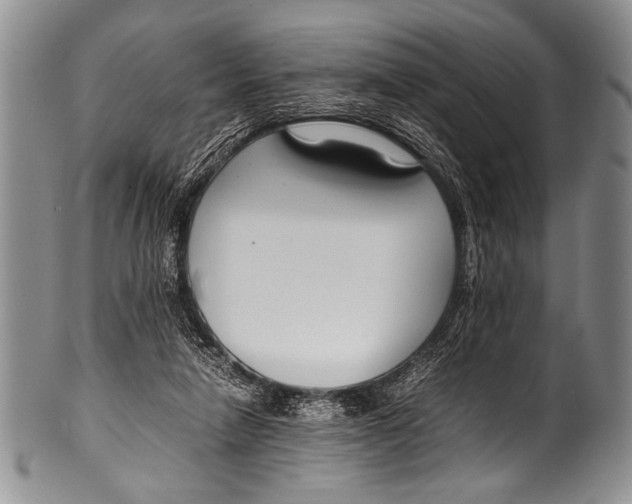 X0000100340258200806261334