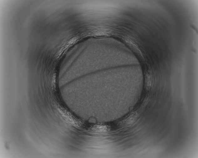 X0000100340260200806261334