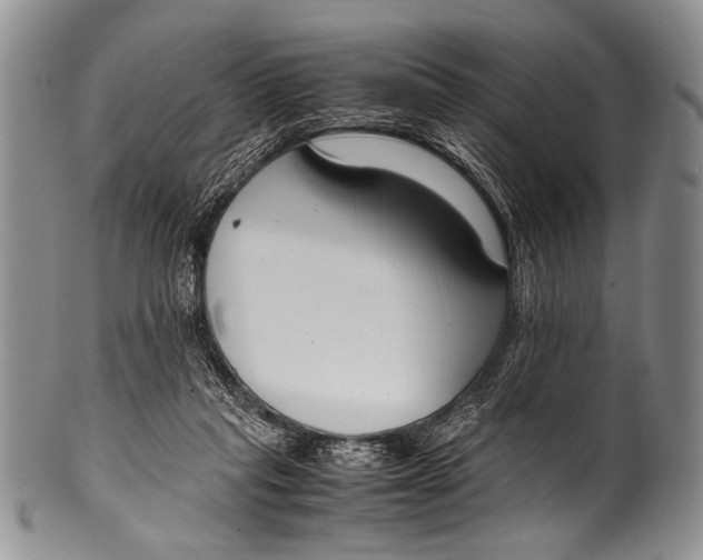 X0000100340261200806261334