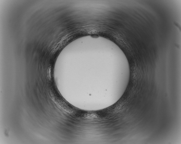 X0000100340262200806261334