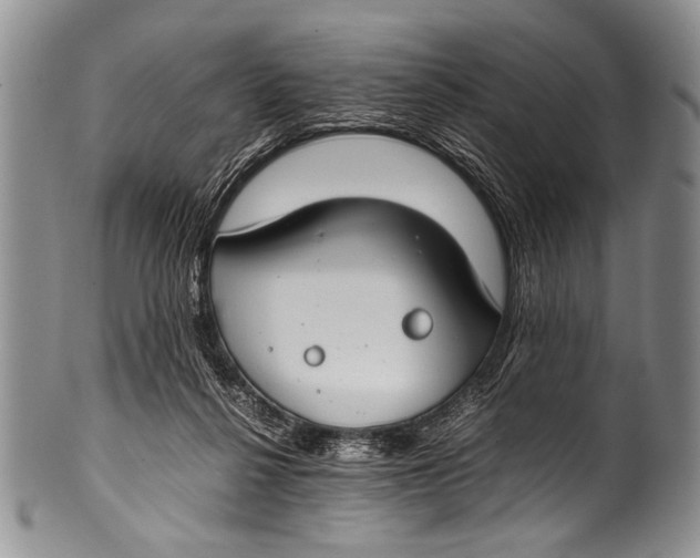 X0000100340264200806261334