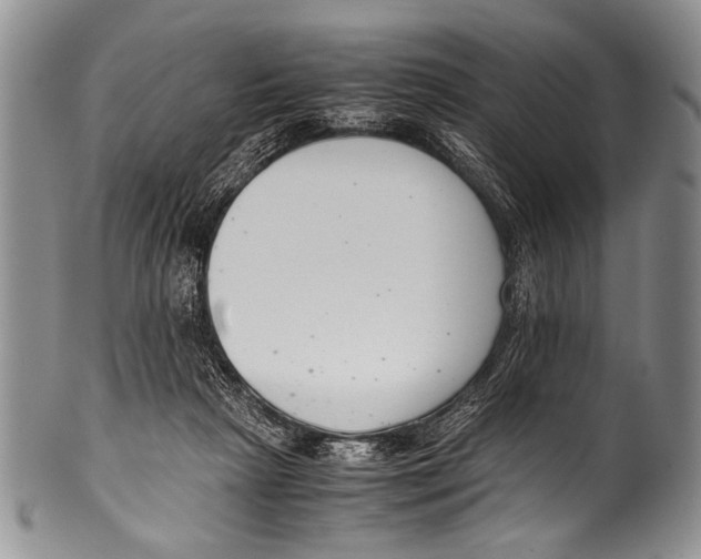 X0000100340265200806261334