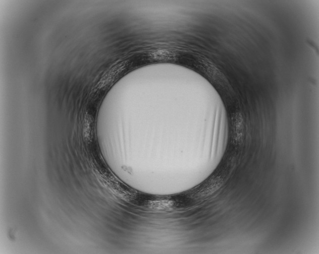 X0000100340266200806261334