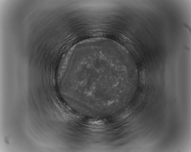 X0000100340267200806261334