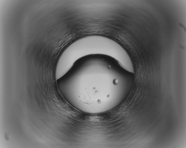 X0000100340268200806261334