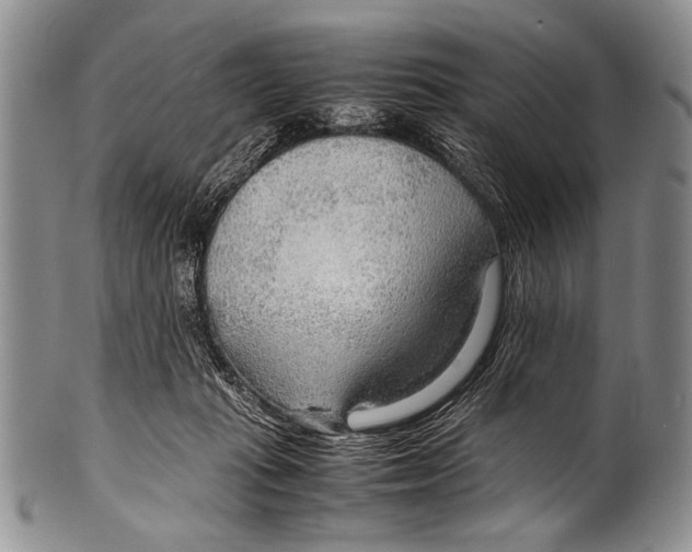 X0000100340269200806261334