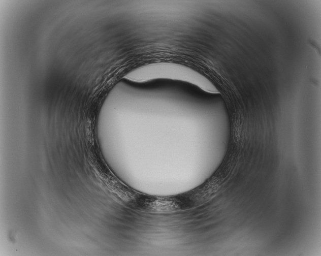 X0000100340270200806261334