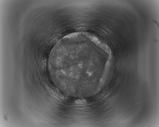 X0000100340271200806261334