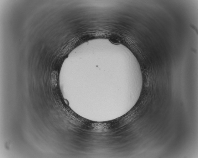 X0000100340273200806261334