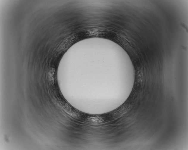 X0000100340275200806261334