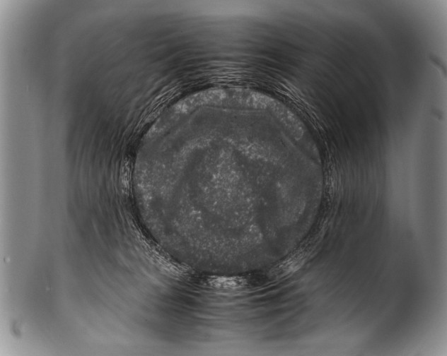 X0000100340277200806261334