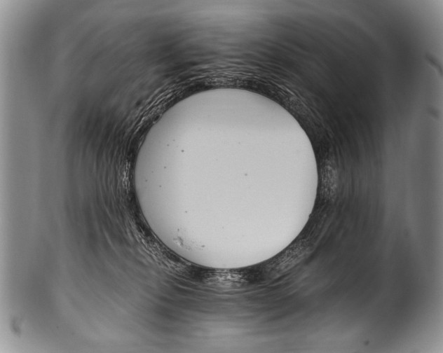 X0000100340278200806261334