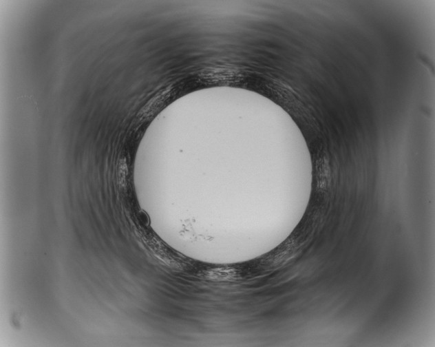 X0000100340279200806261334