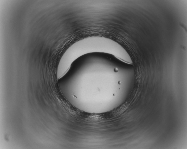 X0000100340280200806261334