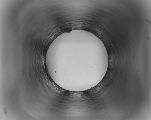 X0000100340282200806261334