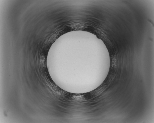 X0000100340283200806261334