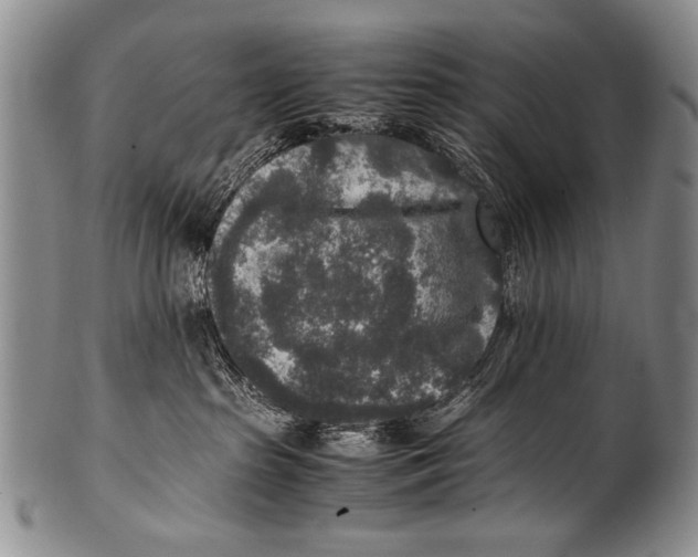 X0000100340285200806261334