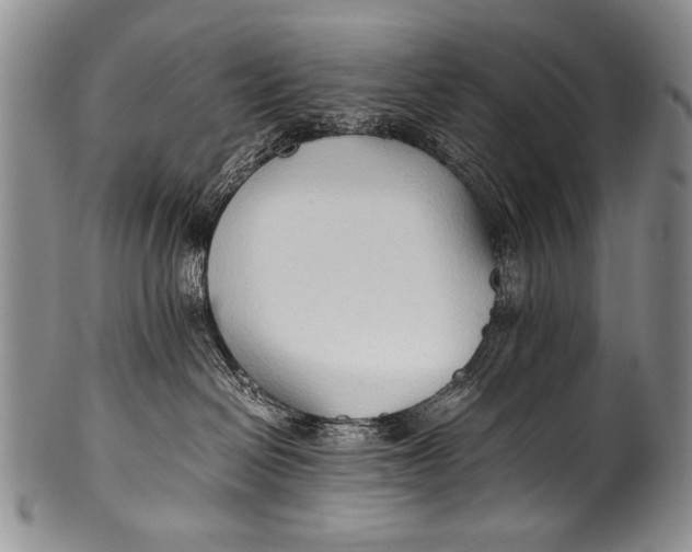 X0000100340286200806261334