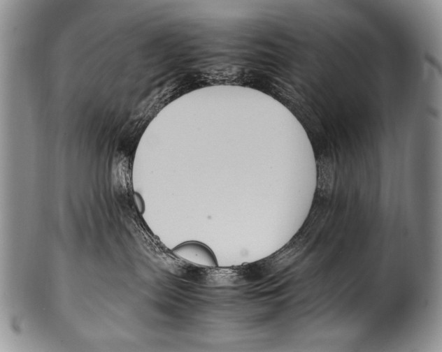 X0000100340287200806261334