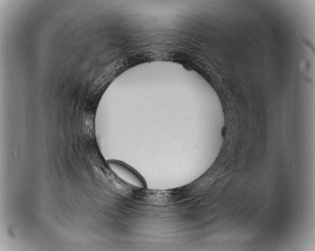 X0000100340288200806261334