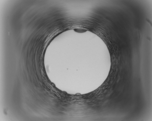 X0000100340289200806261334