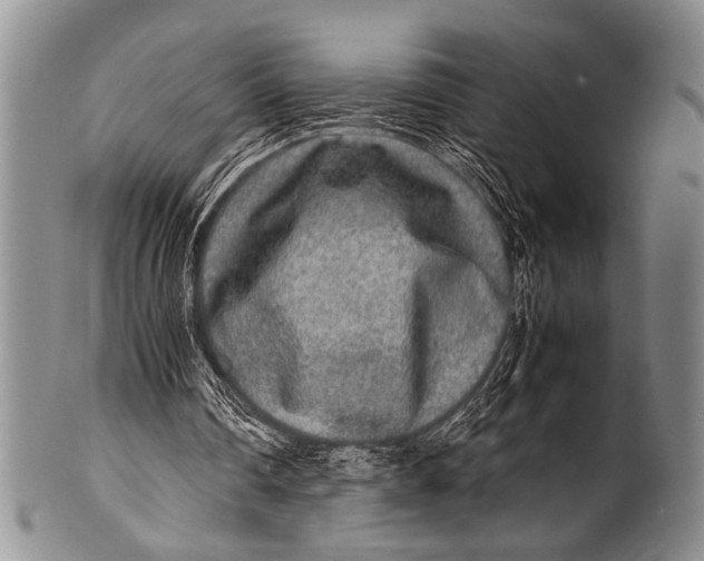 X0000100340290200806261334