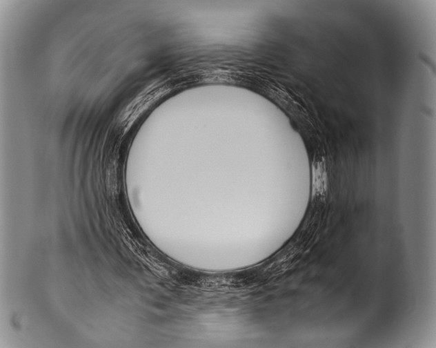 X0000100340291200806261334