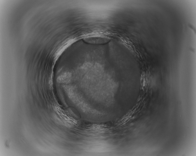 X0000100340292200806261334