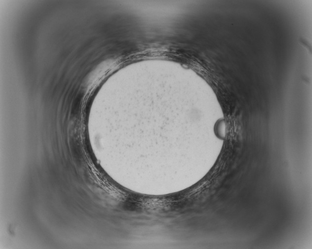 X0000100340293200806261333