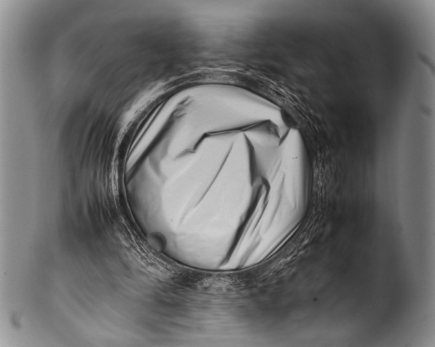 X0000100340294200806261333