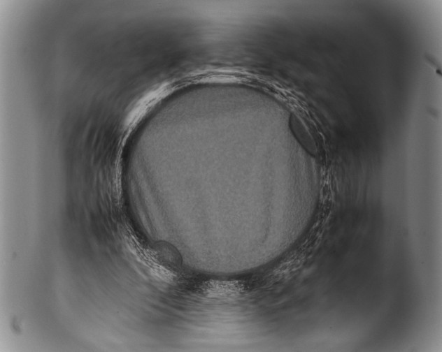 X0000100340296200806261333