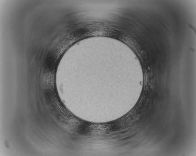 X0000100340297200806261333