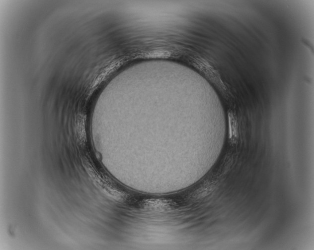 X0000100340300200806261333