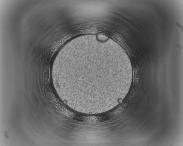 X0000100340301200806261333