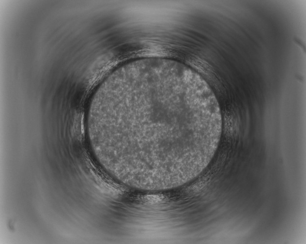 X0000100340302200806261333