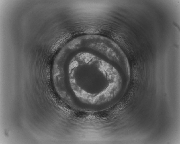 X0000100340303200806261333